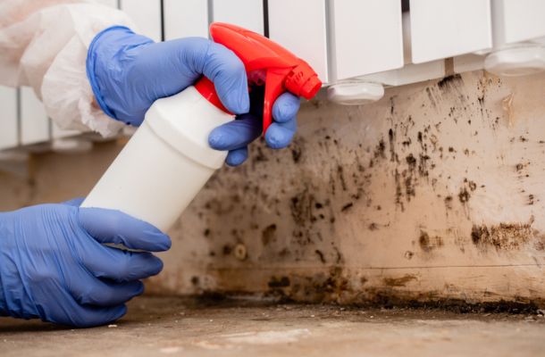 Mold-Remediation-in-Rock Hill-South Carolina